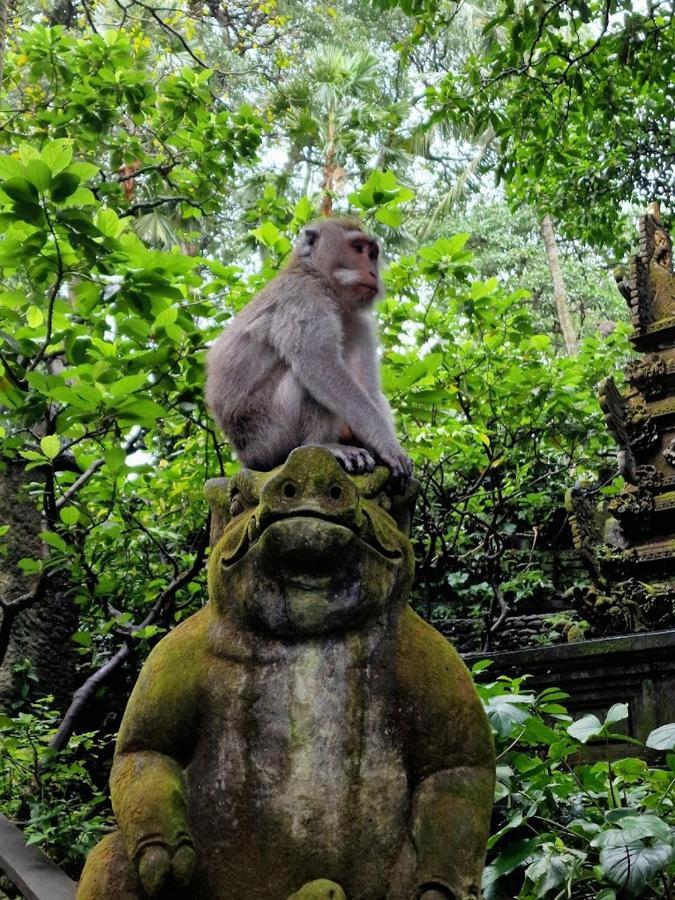 Keramas Moonlight Villa ภายนอก รูปภาพ